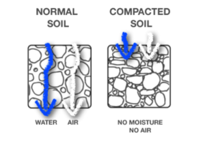 Compaction vs. Normal Soil